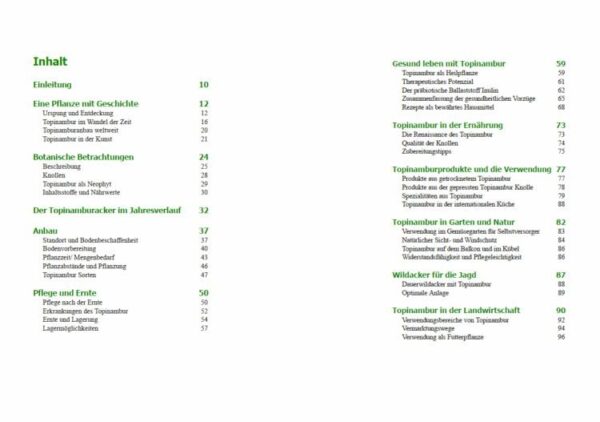 topinambur-buch-praxiswissen-fuer-anbau-und-verwendung-ansicht-4